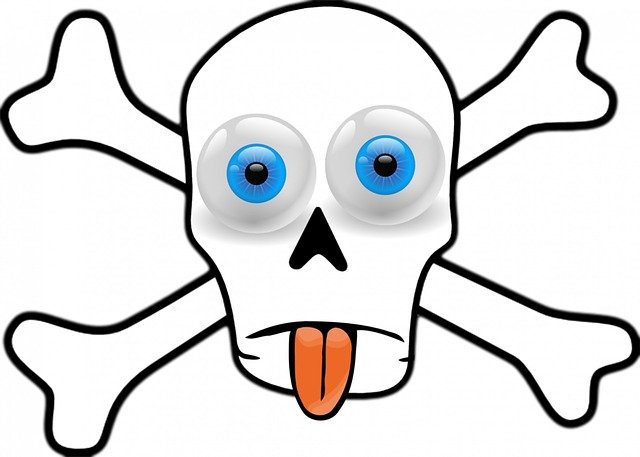 Free download Skull Eyes Crossbones -  free illustration to be edited with GIMP free online image editor