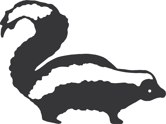 Free download Skunk Stripes Animal - Free vector graphic on Pixabay free illustration to be edited with GIMP free online image editor