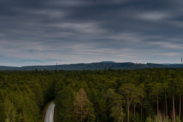 Ücretsiz indir Sky Forest Trees - GIMP çevrimiçi resim düzenleyici ile düzenlenecek ücretsiz fotoğraf veya resim