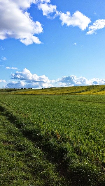 Free download Sky Grass Sunshine -  free photo or picture to be edited with GIMP online image editor