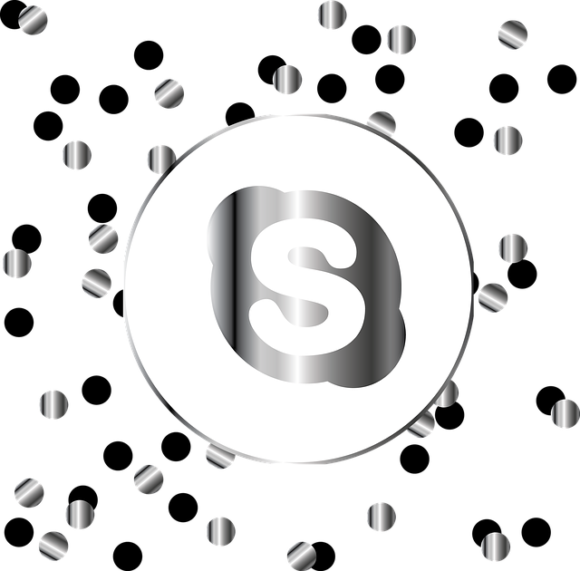 Free download Skype Silver Icon -  free illustration to be edited with GIMP free online image editor