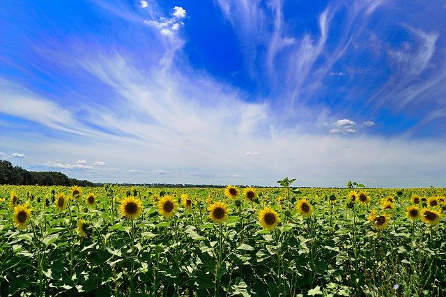 Free download Sky Summer Clouds -  free photo or picture to be edited with GIMP online image editor