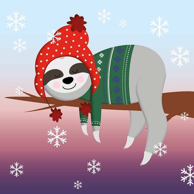 Free download Sloth Winter Christmas -  free illustration to be edited with GIMP free online image editor