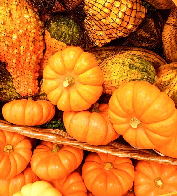 Free download small pumpkins vegetables fruits free picture to be edited with GIMP free online image editor