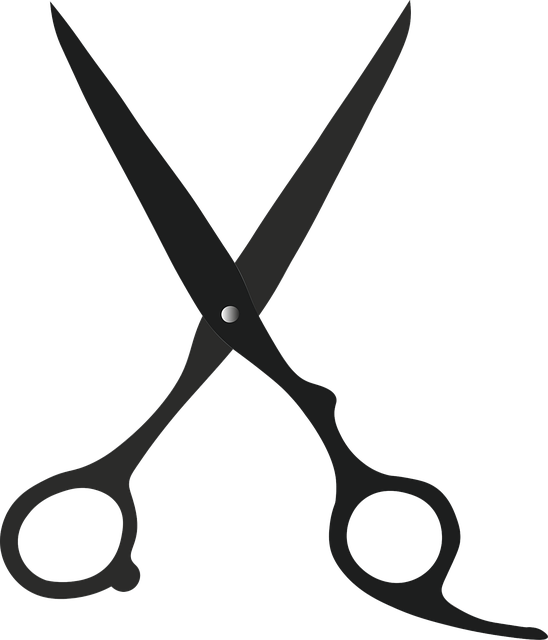 Free download Small Scissors Tailor - Free vector graphic on Pixabay free illustration to be edited with GIMP free online image editor