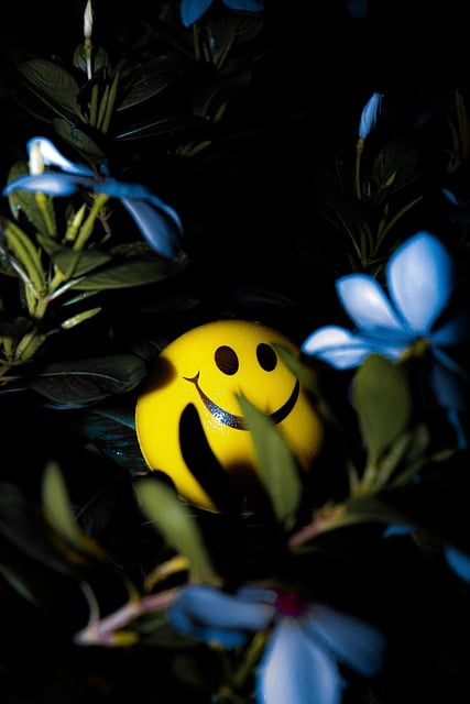 Free download smiley emoji plant alone emoticon free picture to be edited with GIMP free online image editor