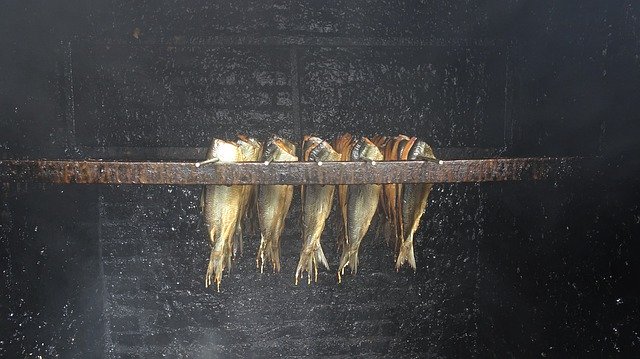 Free download Smoked Herring Fish -  free photo or picture to be edited with GIMP online image editor