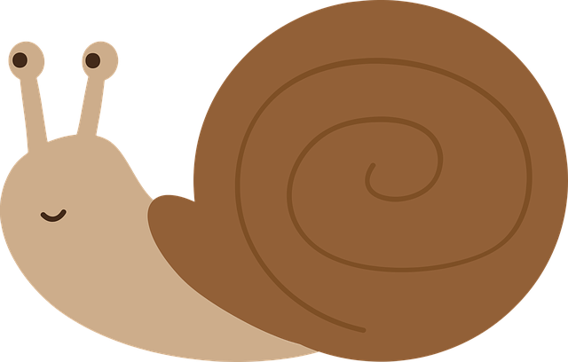 Free download Snail Molluscum Shell - Free vector graphic on Pixabay free illustration to be edited with GIMP free online image editor