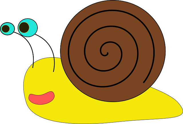 Free download Snail Mollusk Gastropod - Free vector graphic on Pixabay free illustration to be edited with GIMP free online image editor