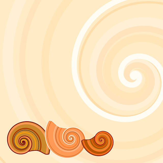 Free download Snail Shells -  free illustration to be edited with GIMP free online image editor