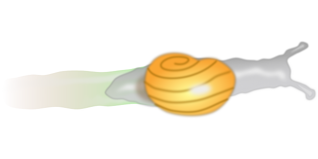 Free download Snail Shell Trail - Free vector graphic on Pixabay free illustration to be edited with GIMP free online image editor