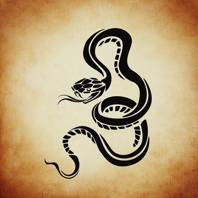 Free download Snake Dangerous -  free illustration to be edited with GIMP free online image editor