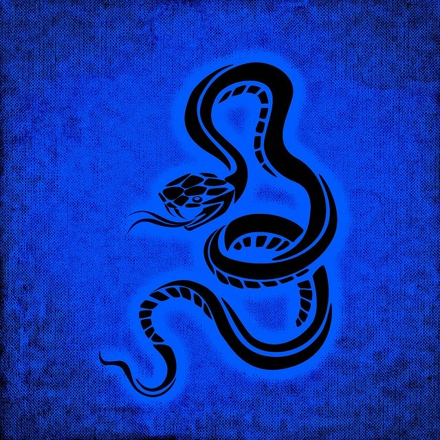 Free download Snake Dangerous Background -  free illustration to be edited with GIMP free online image editor