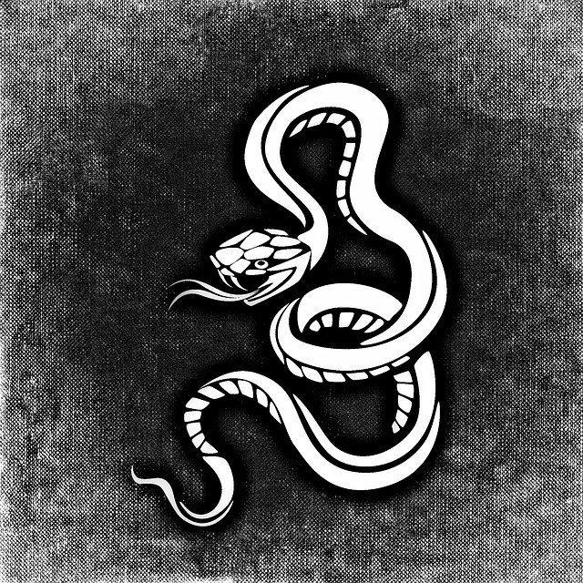 Free download Snake Dangerous Background Black -  free illustration to be edited with GIMP free online image editor