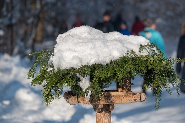 Free download Snow Bird Feeder Aviary -  free photo or picture to be edited with GIMP online image editor