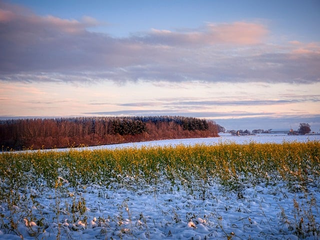 Free download snow fields meadow nature germany free picture to be edited with GIMP free online image editor