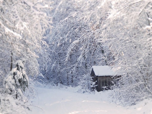 Free download snow forest path hut winter free picture to be edited with GIMP free online image editor