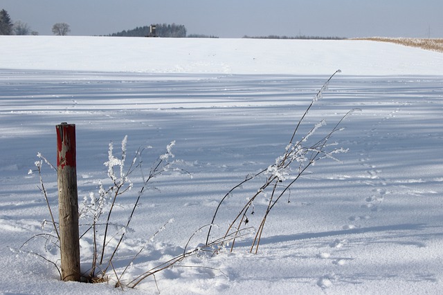 Free download snow landscape snow footsteps free picture to be edited with GIMP free online image editor