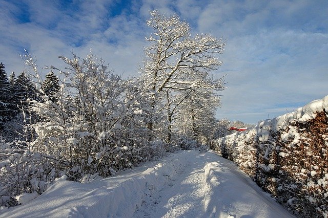 Free download Snow Landscape Winter Wintry -  free photo or picture to be edited with GIMP online image editor