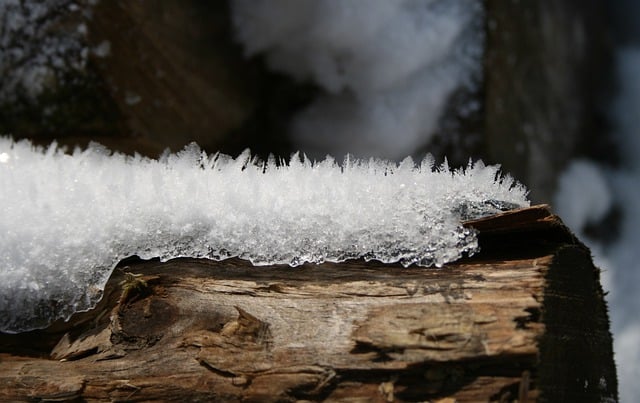 Free download snow log snow crystals frozen free picture to be edited with GIMP free online image editor