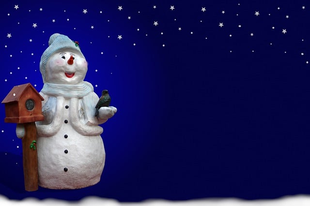 Free download snowman winter christmas new year free picture to be edited with GIMP free online image editor