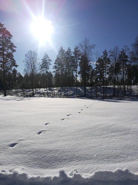 ดาวน์โหลดฟรี Snow Track Winter - ภาพถ่ายหรือรูปภาพฟรีที่จะแก้ไขด้วยโปรแกรมแก้ไขรูปภาพออนไลน์ GIMP