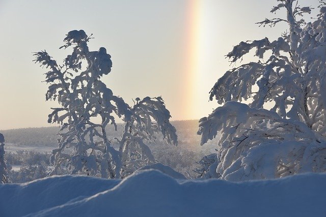 Free download Snow Trees -  free photo or picture to be edited with GIMP online image editor