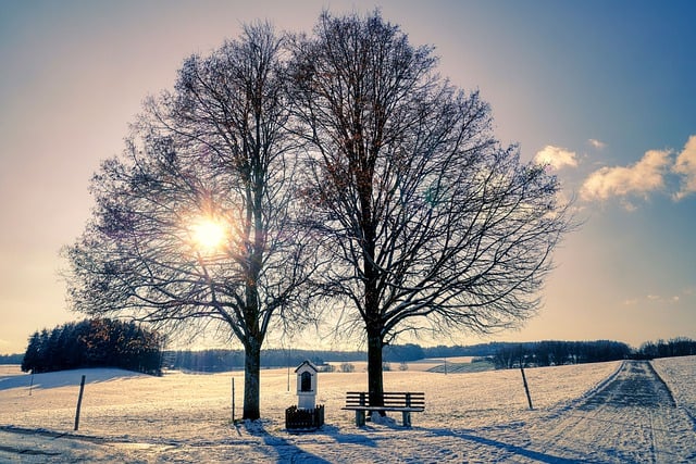 Free download snow trees landscape sun mood free picture to be edited with GIMP free online image editor