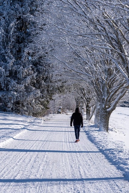 Free download snow trees winter magic person free picture to be edited with GIMP free online image editor