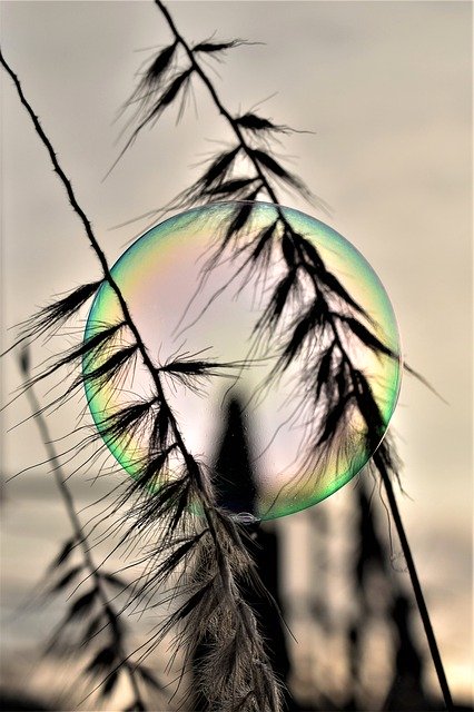 Free download Soap Bubble Backlighting Mood -  free photo or picture to be edited with GIMP online image editor