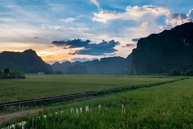 Free download Southeast Asia Vietnam Rice Paddy -  free photo or picture to be edited with GIMP online image editor