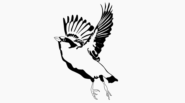 Free download Sparrow Bird - Free vector graphic on Pixabay free illustration to be edited with GIMP free online image editor