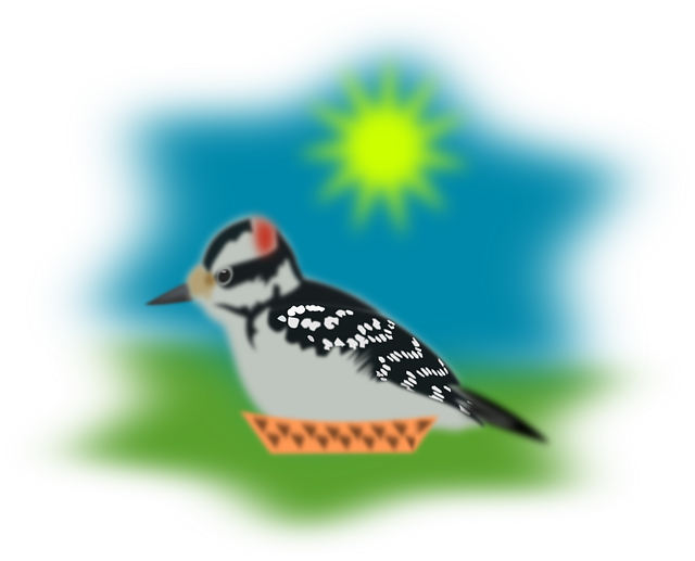 Free download Sparrow Pecker Woodpecker - Free vector graphic on Pixabay free illustration to be edited with GIMP free online image editor