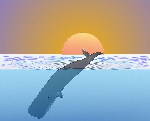 Free download Sperm Whale Wal Protector -  free illustration to be edited with GIMP free online image editor