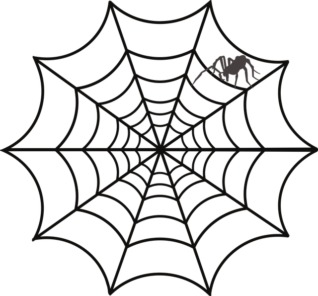 Free download Spider Animals Nature - Free vector graphic on Pixabay free illustration to be edited with GIMP free online image editor