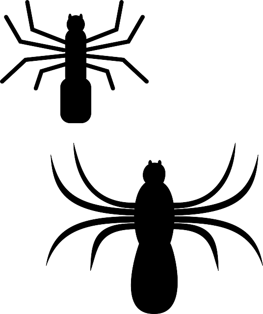 دانلود رایگان Spider Silhouette Bugs - گرافیک وکتور رایگان در تصویر رایگان Pixabay برای ویرایش با ویرایشگر تصویر آنلاین رایگان GIMP