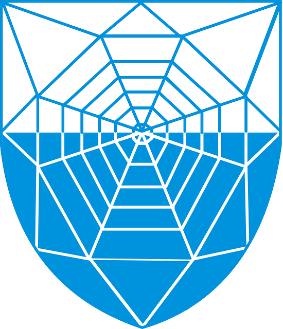 Free download Spider Web Coat - Free vector graphic on Pixabay free illustration to be edited with GIMP free online image editor