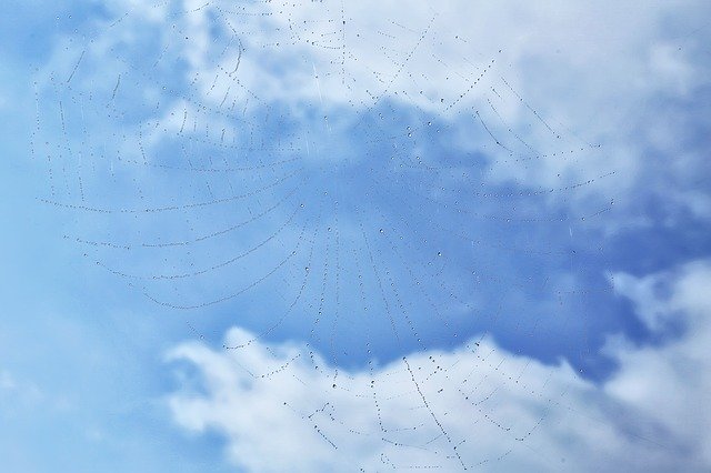 Free download Spider Web Nature Sky -  free photo or picture to be edited with GIMP online image editor