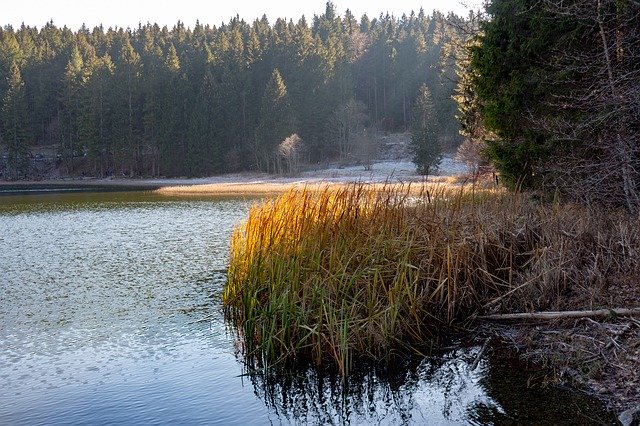 Free download Spitzingsee Lake Autumn -  free photo or picture to be edited with GIMP online image editor