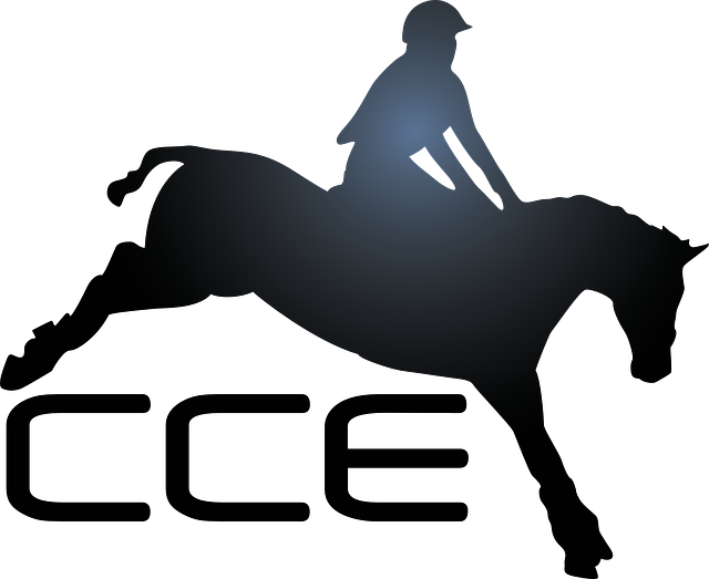 Free download Sport Horseback Riding Horse - Free vector graphic on Pixabay free illustration to be edited with GIMP free online image editor