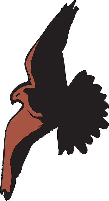 Free download Spread Shadow Bird - Free vector graphic on Pixabay free illustration to be edited with GIMP free online image editor