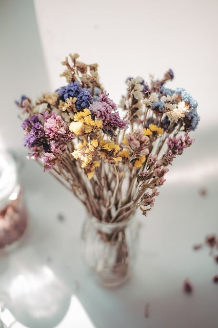 Free download spring flowers dried flowers botany free picture to be edited with GIMP free online image editor