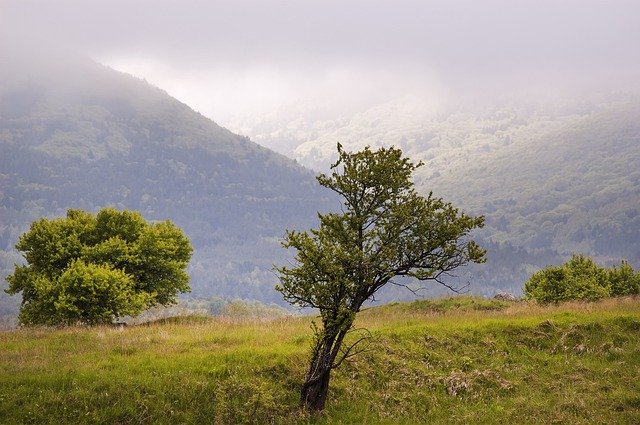 Free download spring fog clouds soft light grass free picture to be edited with GIMP free online image editor