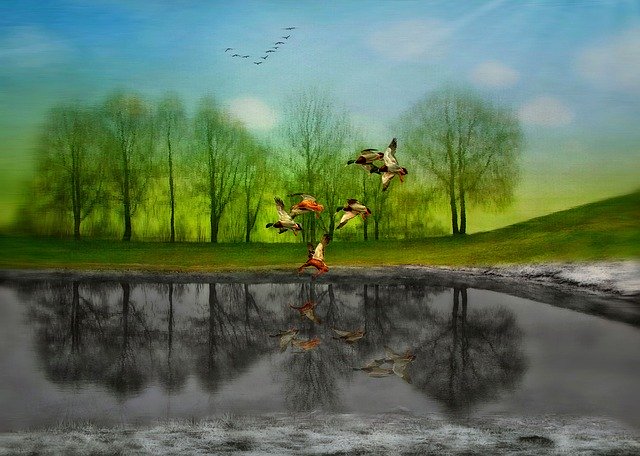 Free download Spring Stand By Dreams -  free illustration to be edited with GIMP free online image editor