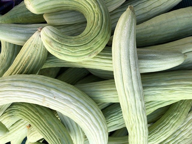 Free download Squash Vegetables Harvest -  free photo or picture to be edited with GIMP online image editor