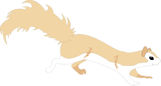 Free download Squirrel Animal Tail - Free vector graphic on Pixabay free illustration to be edited with GIMP free online image editor