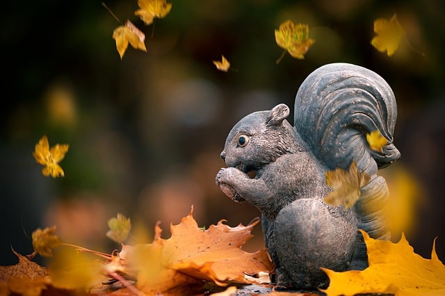 Free download squirrel monument stone leaves free picture to be edited with GIMP free online image editor