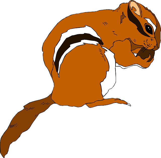 Free download Squirrel Stripes Food - Free vector graphic on Pixabay free illustration to be edited with GIMP free online image editor