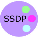 SSDP Provider  screen for extension Chrome web store in OffiDocs Chromium