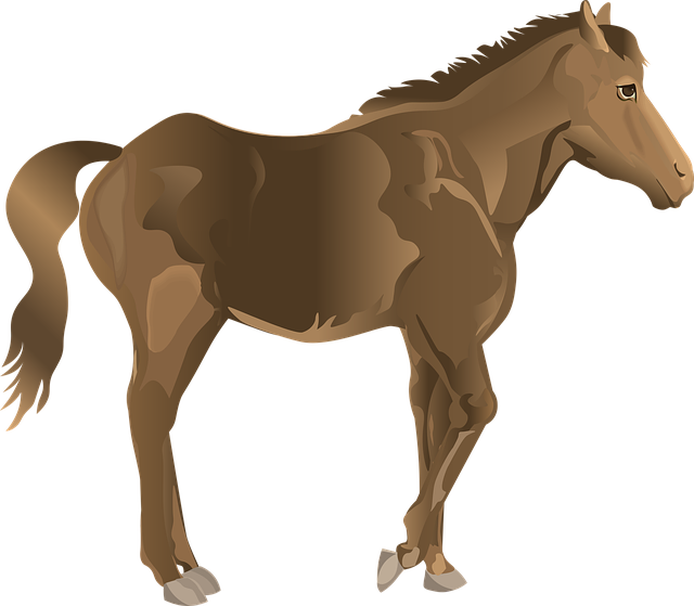 Free download Stallion Horse Bay - Free vector graphic on Pixabay free illustration to be edited with GIMP free online image editor